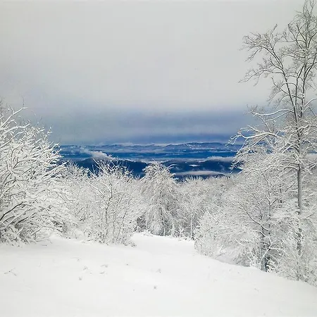 Hiša za goste Kozmus 3*