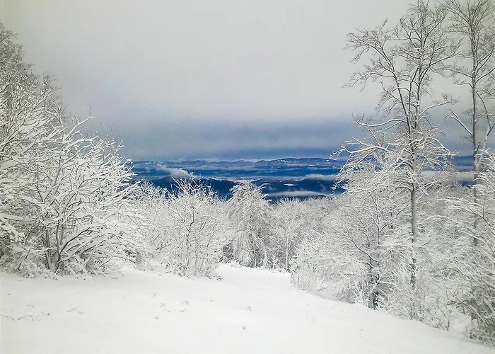 Гостевой дом Kozmus 3*