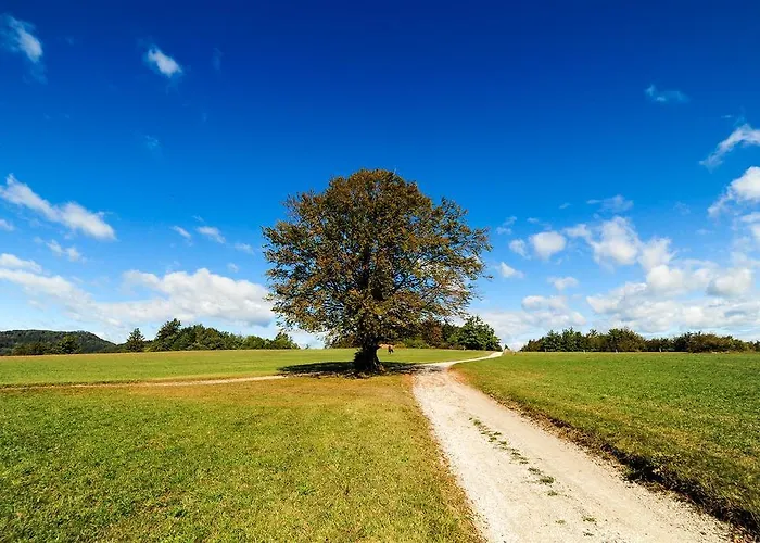 Kozmus 3* Brestanica